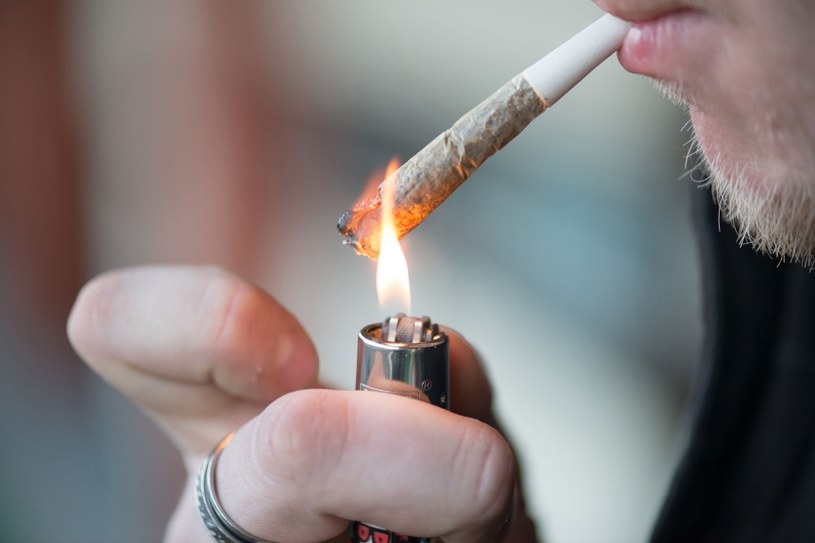 Szef niemieckiego resortu zdrowia zawraca uwagę na korzyści, jakie może przynieść legalizacja marihuany. Zdj. ilustracyjne /123RF/PICSEL