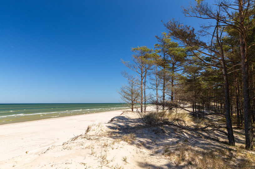 Szerokie, długie plaże były dumą polskiego wybrzeża /123RF/PICSEL