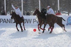 Sześć koni i pomarańczowa piłka na śniegu