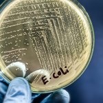 ​Sześć miejscowości bez wody. To kolejny taki przypadek na Dolnym Śląsku