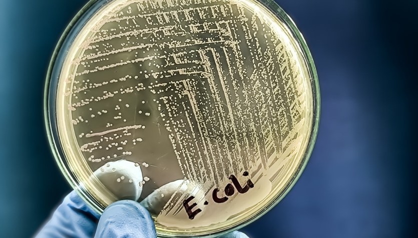 ​Sześć miejscowości bez wody. To kolejny taki przypadek na Dolnym Śląsku