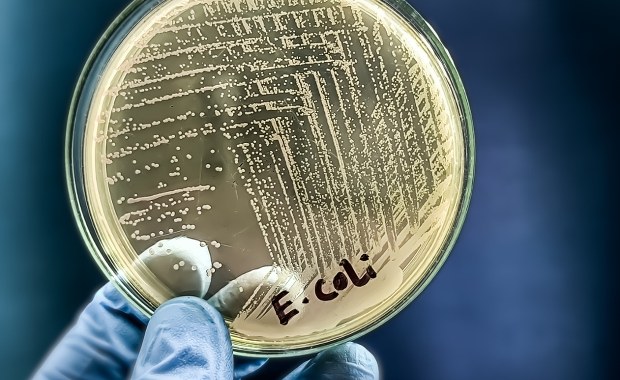 ​Sześć miejscowości bez wody. To kolejny taki przypadek na Dolnym Śląsku