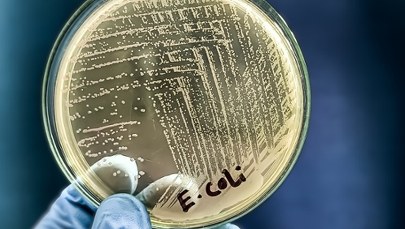 ​Sześć miejscowości bez wody. To kolejny taki przypadek na Dolnym Śląsku