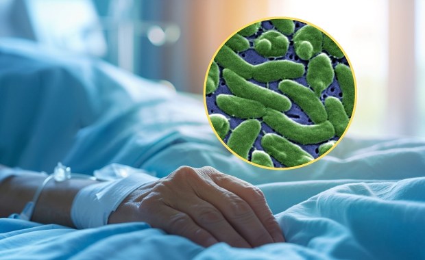 Sześć osób nie żyje po zjedzeniu luksusowego przysmaku