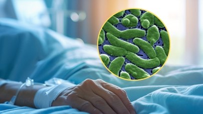 Sześć osób nie żyje po zjedzeniu luksusowego przysmaku