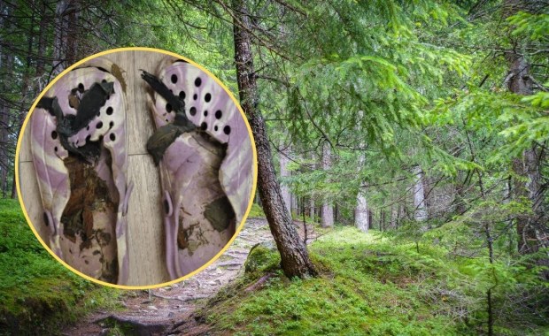 Szkielet kobiety "siedział" przy szlaku. Makabryczne odkrycie w lesie