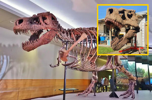 Szkielet Tyranozaura w twoim domu. Artysta VR pokazuje, że to możliwe
