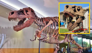 Szkielet Tyranozaura w twoim domu. Artysta VR pokazuje, że to możliwe