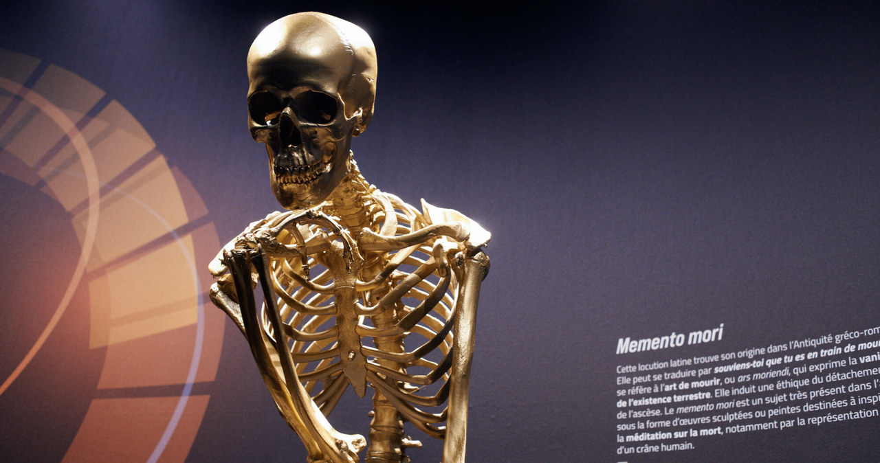 Szkielety i ludzkie szczątki to nic dziwnego w niektórych muzeach. /Nur Photo/East News /East News