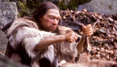 Szkielety neandertalczyków podważają znane przekonanie o ewolucji