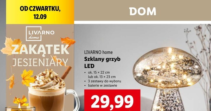 Szklane dekoracje w Lidlu /Lidl /INTERIA.PL