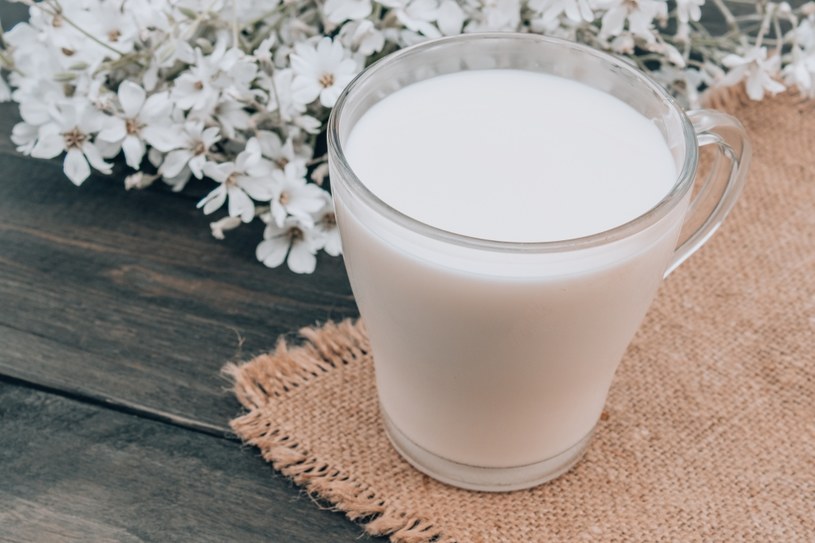 Szklanka koziego mleka dostarczy wielu składników ważnych dla prawidłowego funkcjonowania organizmu /123RF/PICSEL