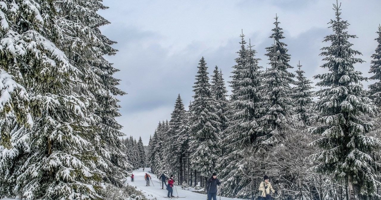 Szklarska Poręba oferuje liczne szlaki turystyczne, stoki narciarskie i trasy narciarskie biegowe /East News