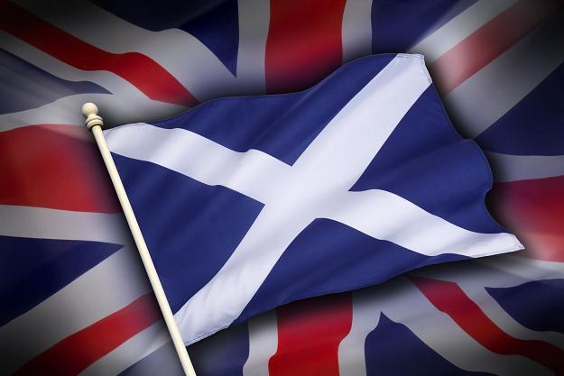 Szkocki biznes cieszy się z wyniku referendum /&copy;123RF/PICSEL