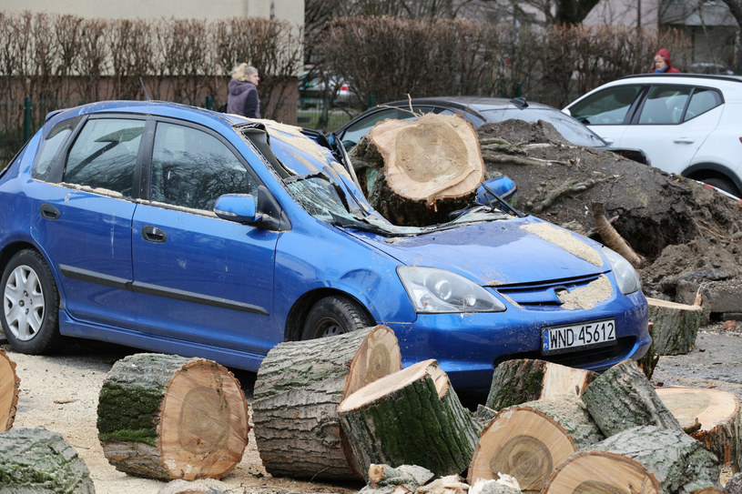 Szkody wywołane działaniem siły natury często są objęte ochroną polisy auto casco /Piotr Molecki /East News
