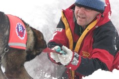 Szkolenie psów lawinowych na Hali Gąsienicowej w Tatrach