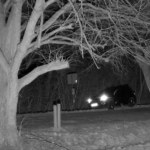 szlaban Szlaban na granicy nie dla niego! Zobacz, co zrobił pijany 44-latek