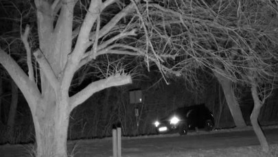 Szlaban na granicy nie dla niego! Zobacz, co zrobił pijany 44-latek