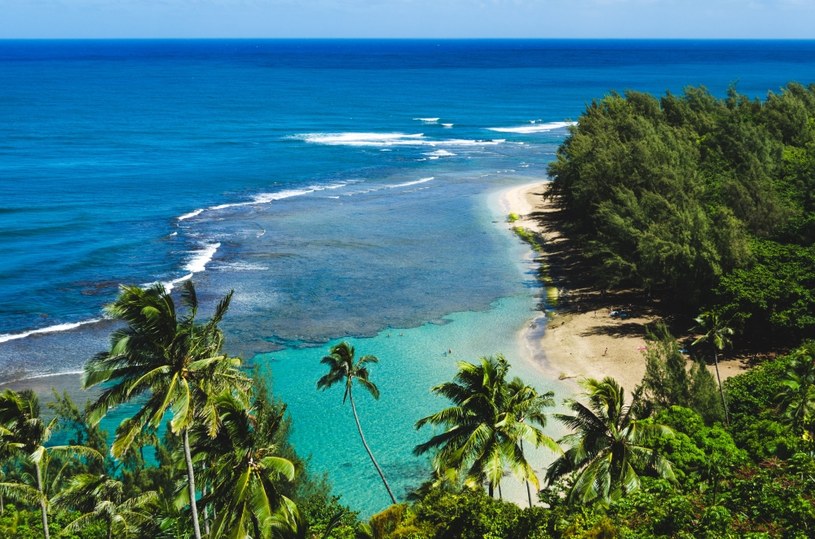 Szlak Kalalau jest jednym z najbardziej turystycznych miejsc na wyspie Kauai na Hawajach w USA /123RF/PICSEL