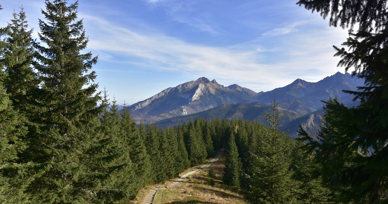 Szlak na Gęsią Szyję przez Rusinową Polanę to propozycja prostej i przy tym niezwykle widokowej wycieczki w Tatry. /East News