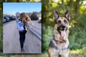 Szli do granicy 17 kilometrów. Na ramionach nieśli 12-letniego psa