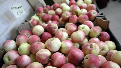 Szokująca propozycja Komisji Europejskiej dla polskich rolników