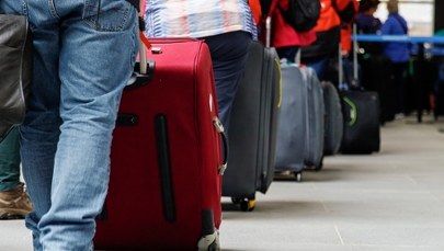 Szokujące odkrycie na lotnisku. Setki dzikich ptaków w bagażu 