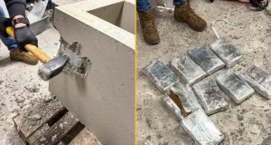 Szokujące odkrycie w betonowych donicach. Akcja CBŚP