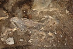 Szokujące odkrycie w gospodarstwie