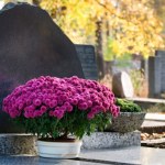 Szokujące podwyżki na wrocławskich cmentarzach. Mieszkańcy zapłacą więcej za pochówek 