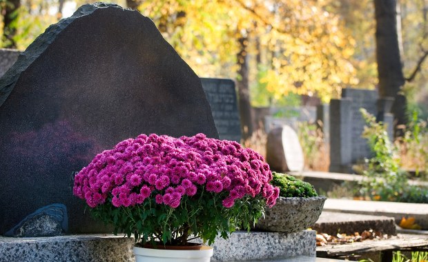 Szokujące podwyżki na wrocławskich cmentarzach. Mieszkańcy zapłacą więcej za pochówek 