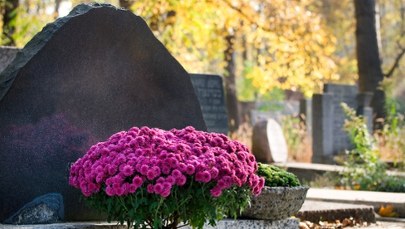 Szokujące podwyżki na wrocławskich cmentarzach. Mieszkańcy zapłacą więcej za pochówek 