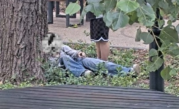 Szokujące sceny w parku. "Zdjęcia nie oddają w pełni dramatyzmu"