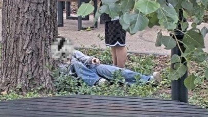 Szokujące sceny w parku. "Zdjęcia nie oddają w pełni dramatyzmu"