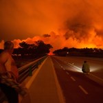 Szokujące ustalenia portugalskich mediów: "Mafia drzewna" współwinna pożarów, które zabiły 49 osób
