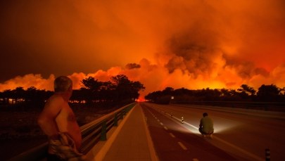 Szokujące ustalenia portugalskich mediów: "Mafia drzewna" współwinna pożarów, które zabiły 49 osób