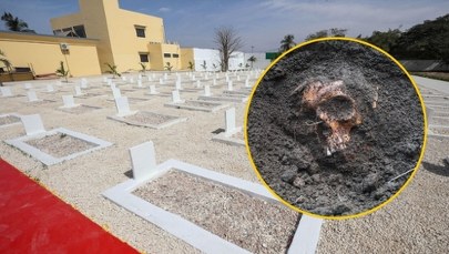 Szokujące znalezisko. Archeolodzy odkrywają kulisy krwawej masakry