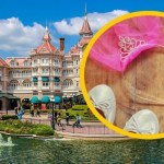 Szokujący "ślub" 9-latki w Disneylandzie. Organizatorem pedofil