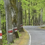 Szosa Stu Zakrętów to legenda. Tam nie trzymasz prosto kierownicy