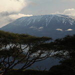 "Szpik na Szczyt". Niezwykła wyprawa na Kilimandżaro 