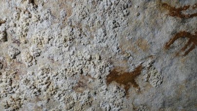 Szponiasta dłoń zmienia myślenie o sztuce. Przełomowe odkrycie