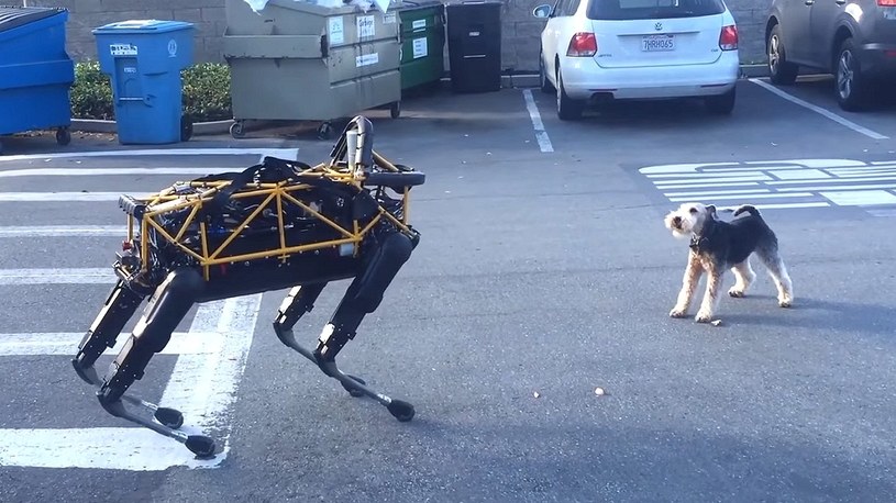 Sztuczna inteligencja nauczyła się być psem. Nadchodzą robo-psy /Geekweek