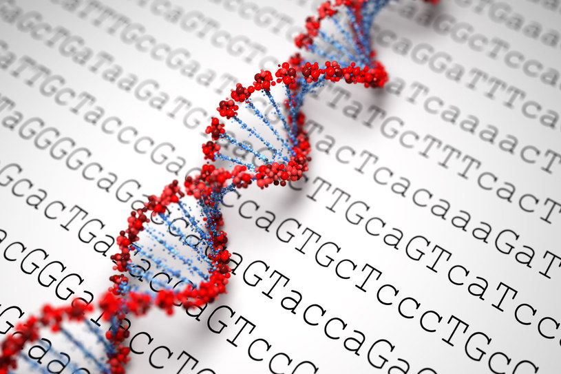 Sztuczne ludzkie DNA powstanie w ciągu 5 lat /123RF/PICSEL