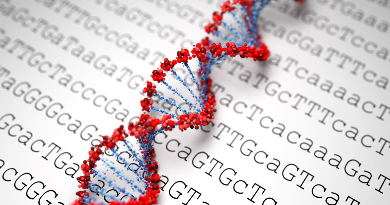 Sztuczne ludzkie DNA powstanie w ciągu 5 lat /123RF/PICSEL