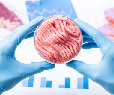 Sztuczne mięso będzie produkowane w Polsce. Firma dostała 9 mln zł od rządu