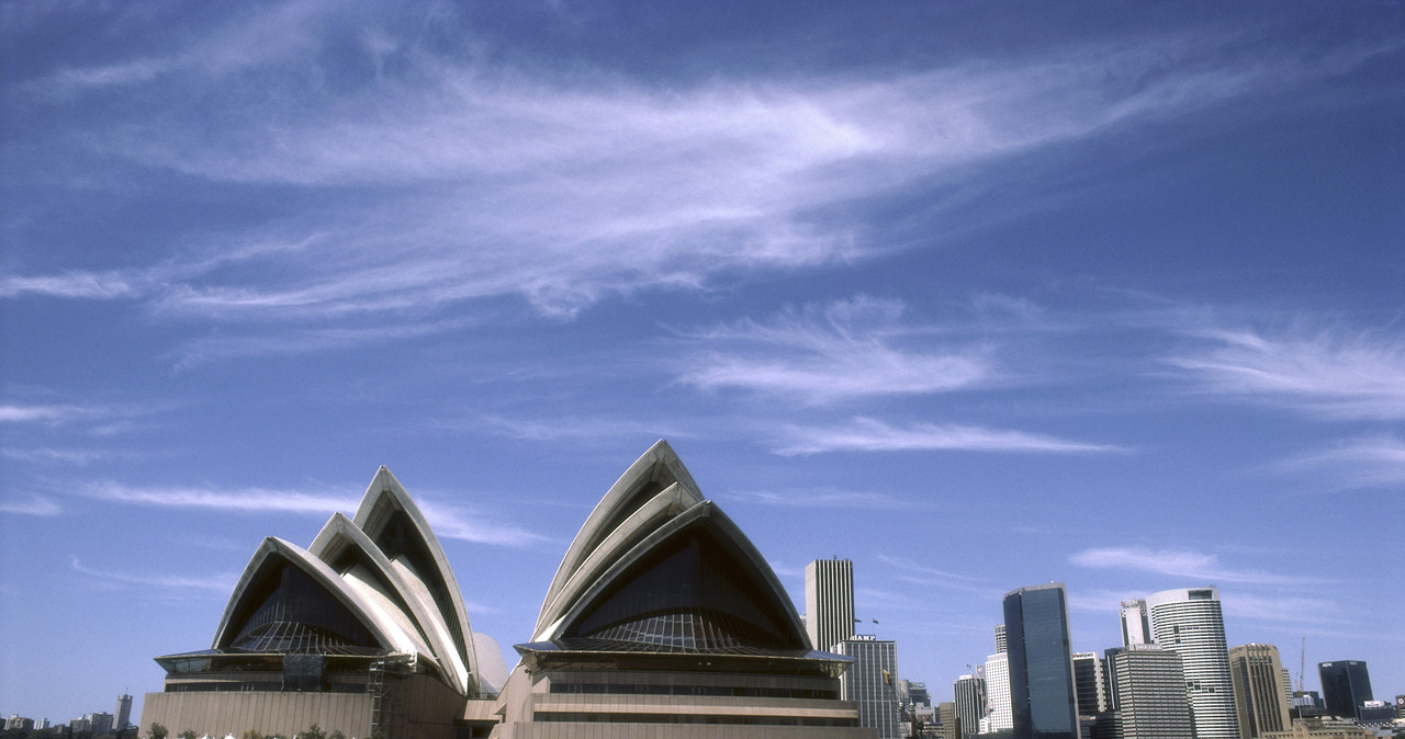 Sztuczne rafy koralowe powstaną w pobliżu opery w Sydney /© Glowimages