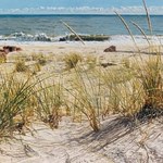 Sztukatułka: Fotorealizm Millsa