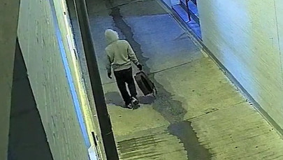 Szturm na Kapitol: Jest nagranie podejrzanego o podłożenie bomb