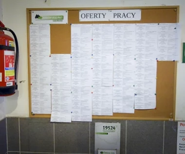 Szukają pracownika fizycznego do przyuczenia. Płacą ponad 10 tys. zł