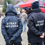 Szukają strażników miejskich. Jedno miasto daje sporą pensję